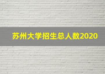 苏州大学招生总人数2020