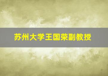 苏州大学王国荣副教授