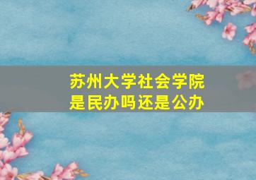 苏州大学社会学院是民办吗还是公办