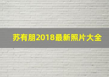 苏有朋2018最新照片大全