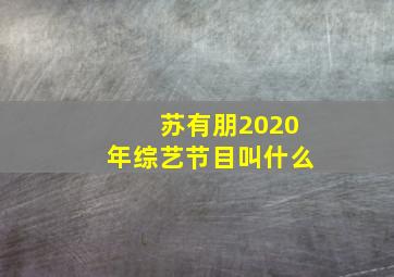 苏有朋2020年综艺节目叫什么