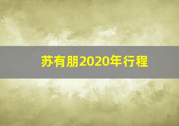 苏有朋2020年行程