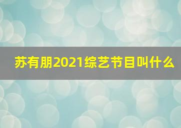 苏有朋2021综艺节目叫什么