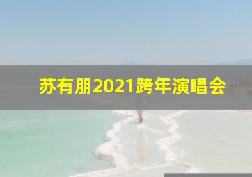 苏有朋2021跨年演唱会