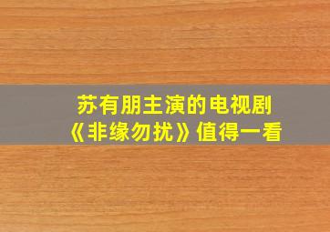 苏有朋主演的电视剧《非缘勿扰》值得一看