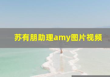 苏有朋助理amy图片视频