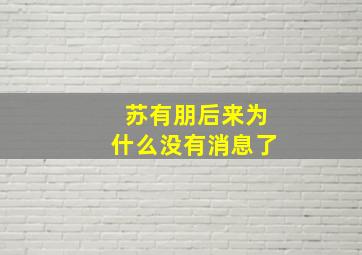 苏有朋后来为什么没有消息了