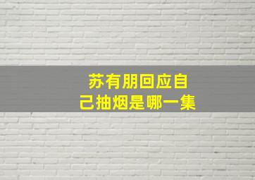 苏有朋回应自己抽烟是哪一集