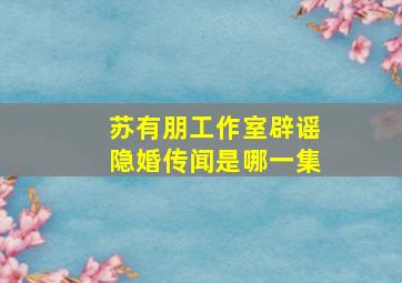 苏有朋工作室辟谣隐婚传闻是哪一集