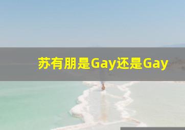 苏有朋是Gay还是Gay