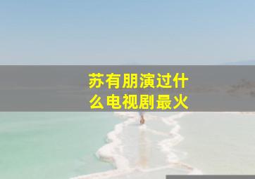 苏有朋演过什么电视剧最火