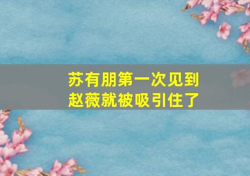 苏有朋第一次见到赵薇就被吸引住了