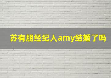 苏有朋经纪人amy结婚了吗