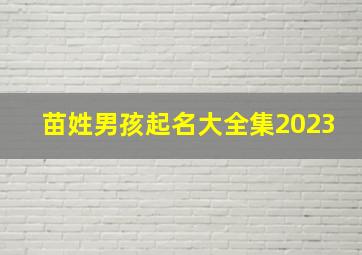 苗姓男孩起名大全集2023