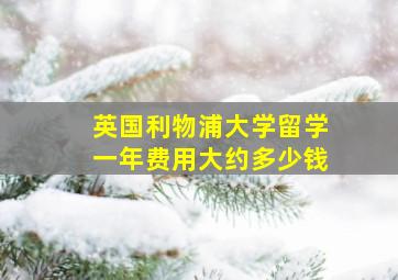 英国利物浦大学留学一年费用大约多少钱