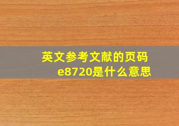 英文参考文献的页码e8720是什么意思