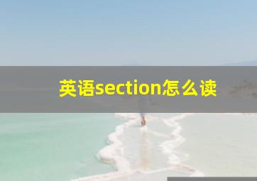 英语section怎么读