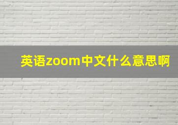 英语zoom中文什么意思啊