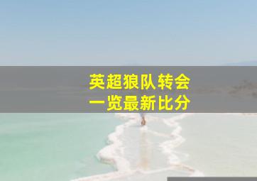 英超狼队转会一览最新比分