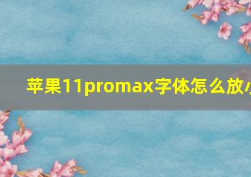 苹果11promax字体怎么放小