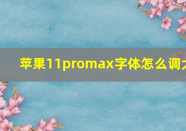 苹果11promax字体怎么调大