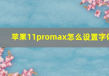 苹果11promax怎么设置字体