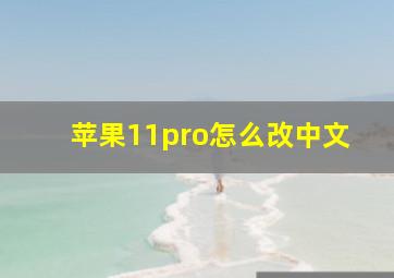 苹果11pro怎么改中文