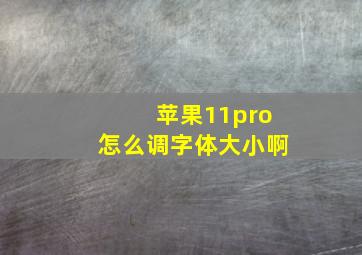 苹果11pro怎么调字体大小啊