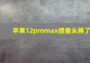 苹果12promax摄像头摔了