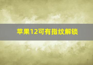 苹果12可有指纹解锁