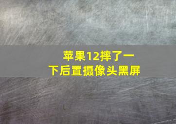 苹果12摔了一下后置摄像头黑屏