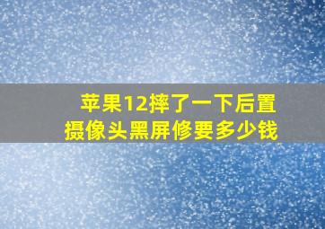 苹果12摔了一下后置摄像头黑屏修要多少钱