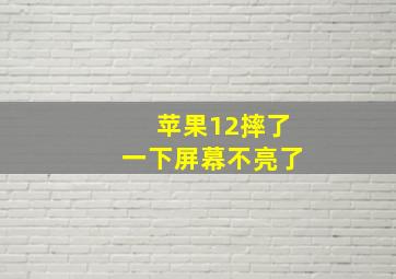 苹果12摔了一下屏幕不亮了