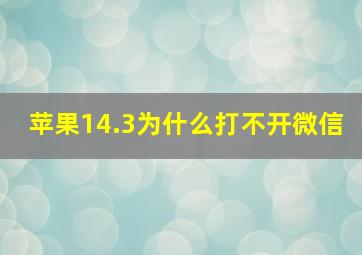 苹果14.3为什么打不开微信