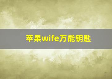 苹果wife万能钥匙