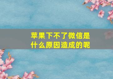 苹果下不了微信是什么原因造成的呢