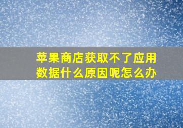 苹果商店获取不了应用数据什么原因呢怎么办