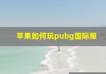 苹果如何玩pubg国际服