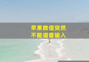 苹果微信突然不能语音输入