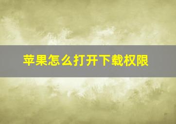 苹果怎么打开下载权限