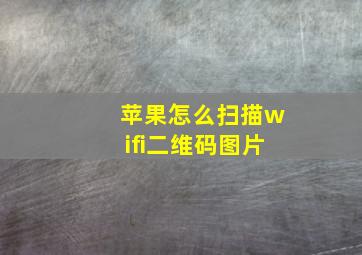 苹果怎么扫描wifi二维码图片