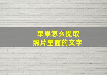 苹果怎么提取照片里面的文字