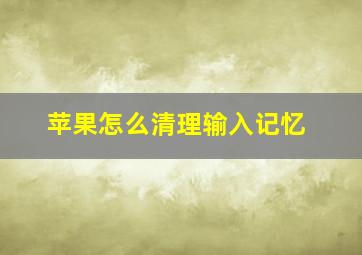 苹果怎么清理输入记忆