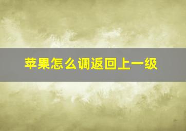 苹果怎么调返回上一级