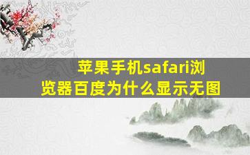 苹果手机safari浏览器百度为什么显示无图