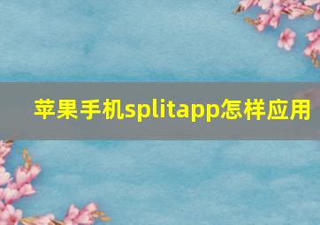 苹果手机splitapp怎样应用