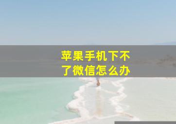 苹果手机下不了微信怎么办