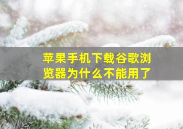 苹果手机下载谷歌浏览器为什么不能用了