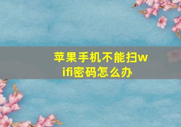 苹果手机不能扫wifi密码怎么办