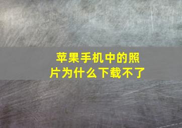 苹果手机中的照片为什么下载不了